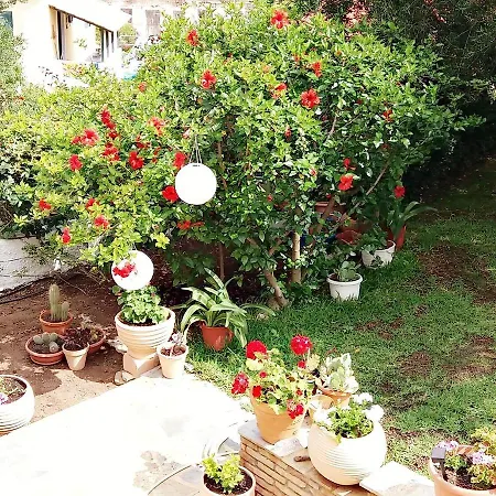 Maison d'hôtes Gerania Asos